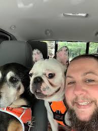 Anybody else's frenchie not want to go out in the rain? He wont even go in  the garden