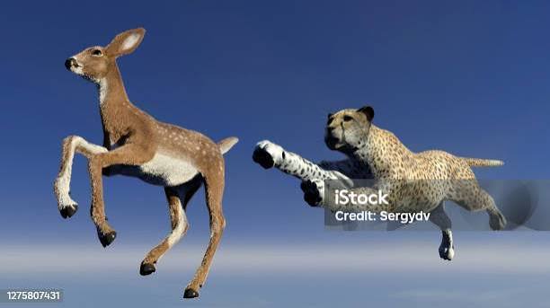 Cheetah Is Hunting An Antelope Stock Photo - Download Image Now - 3D Render, Africa, Animal - iStock