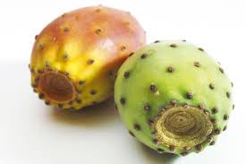 Cactus fruit is an item in outward. The Benefits Of Nopal Prickly Pear Cactus Recettes De Sirop Figue De Barbarie Figues