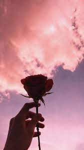 Find the best aesthetic wallpapers on getwallpapers. Aesthetic Pictures Wallpaper Enjpg