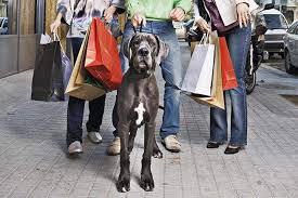 Find pet supplies and food in richmond, in on yellowbook. Dog Friendly Shopping In Indiana Bringfido