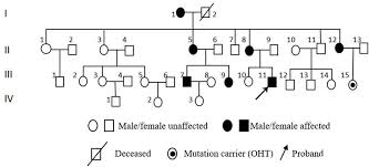 Последние твиты от xxiv vii® (24/7) clothing company (@xxivvii). The Clinical Feature Of Myocilin Y437h Mutation In A Chinese Family With Primary Open Angle Glaucoma British Journal Of Ophthalmology
