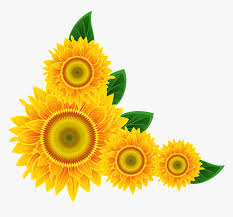 Transparent living room background clipart of sunflowers. Sunflower Corner Decoration Png Clipart Image Sunflower Corner Border Png Transparent Png Kindpng