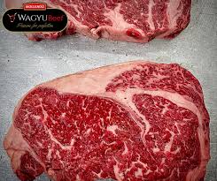 Check spelling or type a new query. Ribeye Chilean Wagyu Bms4 5 John Davidsons