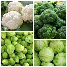 Brokoli, kembang kol, kol, kubis Brussel - benih dari 4 spesies tanaman  sayuran - - biji – Garden Seeds Market | Bebas biaya kirim