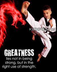 Kickpics Kickpics Net Greatness Kick Kicking Boy Taekwondo Tkd Martialarts Karate Karate Boy Kids Portraits Photography Women Karate