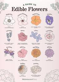 Does whole foods have edible flowers. Guide To Edible Flowers Which Types Of Flowers Are Edible