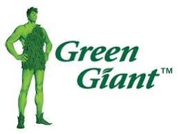 A 16 ounce can of green giant cut green beans. Green Giant And Sprout Metallic 2 Pack Sdcc Debut Vinyl Art Toys Hobbydb
