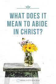 How To Abide In Christ Your Source Of Identity In 2020 Abide In Christ Bible Devotions Jesus