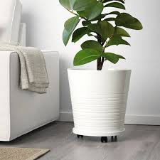 Muskot Ubertopf Weiss Ikea Osterreich In 2020 Indoor Plant Pots Potted Plants Living Room Plants
