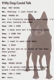 If My Dog Could Talk If Dogs Could Talk Wat Do Dog Quotes