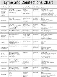 Other Co Infections Lymedisease Org Lyme Disease Symptoms Lyme Disease Awareness Lyme Disease Treatment