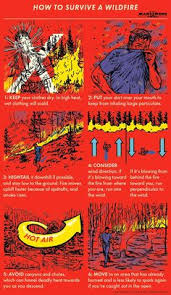 Survival Survival Skills Survival Life Hacks Survival Tips