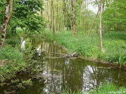 La Grenouillere La Grenouillere Tourisme Grenouillere