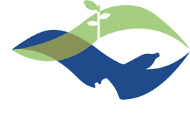 For updates, visit our notifications page. Home Wes Med Eu