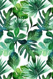 Rainforest lush foliage texture, nature background. Colorful Fabrics Digitally Printed By Spoonflower Tropical Leaves Plant Wallpaper Plant Painting Painted Leaves