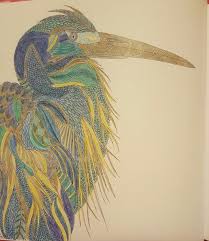 Animal Kingdom Color Me Draw Me By Millie Marotta Millie Marotta Marotta Color