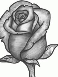 How To Sketch A Rose Recipe Roses Drawing Rose Sketch Rose Art
