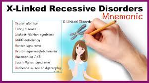 X Linked Recessive Disorders Mnemonic Youtube