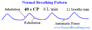 Normal Respiratory Frequency And Ideal Breathing