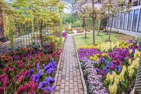 Nicknamed the waterfall gardens, the penang botanical gardens (taman botani penang) were established by british colonists in 1884 on the site of an old granite quarry. 436 Botani Photos Free Royalty Free Stock Photos From Dreamstime