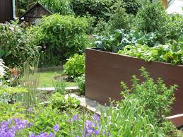 00 pm admission free city chemnitz botanical garden chemnitz wolfgang berthold leipziger straße 147 09114 chemnitz tel.: Kleingarten Stadt Chemnitz