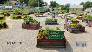 The seed bomb is also a great weapon in the guerrilla gardeners arsenal when the guerrilla gardener needs to quickly get the job done. Guerilla Gardening By Miri S