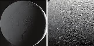 Image result for Blendtone Gray 1977 Hussmann