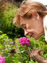 Maybe you would like to learn more about one of these? Your Sense Of Smell Could Predict When You Ll Die Live Science