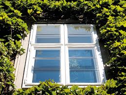 Check spelling or type a new query. Kletterpflanzen Okolowe