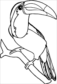 Sparrow coloring page from sparrows category. Printable Toucan Coloring Page Coloringbay