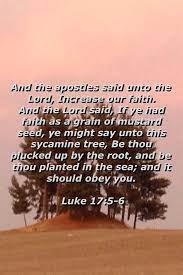 Pin On Biblical Findings