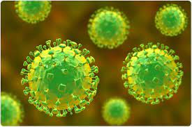 Nipah virus is a deadly pathogen that 'we should be worried about' because there are 'no rapid testing, good treatments, or vaccines available', a leading scientist has warned. What Is Nipah Virus