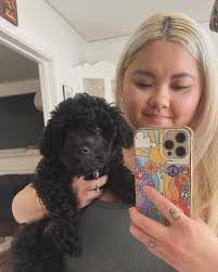 Phi Tran (@phitrandesign) • Instagram photos and videos