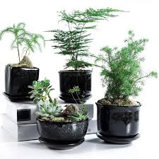 We did not find results for: Sun E New Collections Distinctive Black Color With Snowflake Grain Is The Perfect Ideal For Adding Cactus Plant Pots Ceramic Planter Pots Planting Succulents