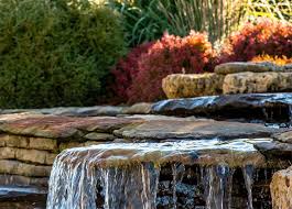 We are now stocking rubber chippings. Home Dragonfly Landscape Supply