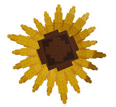 Sunflower-Plant-Icon 
