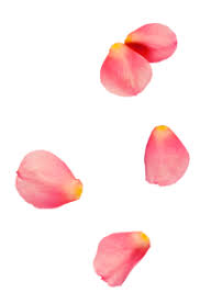 You're competing to be the best this month, cancer! Monthly Horoscopes For April Tisch Aitken