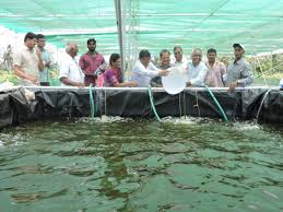 Problems and Prospects of Fishery Extension Services in Andhra Pradesh –  Way Forward, 28 September 2018, Directorate of Extension, SVVU Tirupati, AP  | | Welcome to AESA