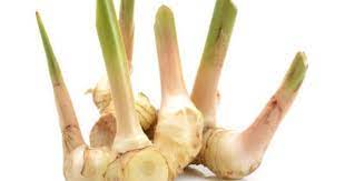 Pin On New Gardening Know How Articles