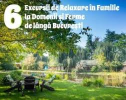 Pe calea spre casă ne putem opri în satul pitaru, locul de naștere al pictorului nicolae grigorescu pe 15 mai 1838. 6 Excursii De Relaxare In Familie La Domenii Si Ferme Bucuresti Gokid