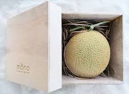 Find mohd sofian's contact information, age, background check, white pages, resume, professional records, pictures, bankruptcies & property records. Malaysian Farmers Grew The World S Most Expensive Melons