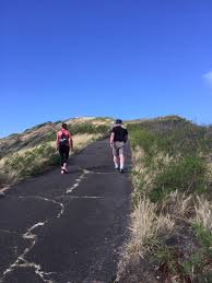 The route was somewhat unclear to me, but what worked well was following the paved path up past the cell phone tower until you feel you've gone too far, then. Hiking Haunama Bay Ridge Trail Steemit