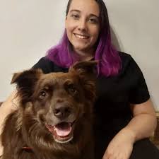 About Our Animal Hospital in Kitchener, ON