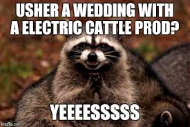 Evil Plotting Raccoon Meme Imgflip