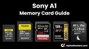 Apply for a library card. Sony A1 Memory Card Guide Alphashooters Com