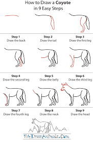 How To Draw Easy Animals Step By Step Image Guide Easy Drawings Coyote Drawing Step By Step Drawing