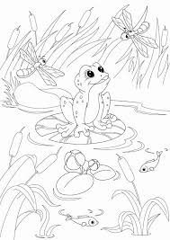 Pack these spring printables into a picnic basket for a family outing. Pond Animals Coloring Pages New Fish Pond Drawing At Getdrawings Frog Coloring Pages Animal Coloring Pages Dinosaur Coloring Pages