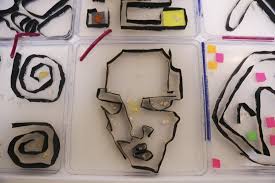 Physarum workshop at BLAST