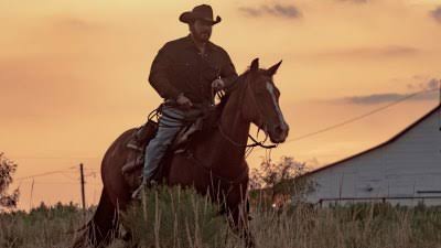 Is Yellowstone's Dutton Ranch Returning for Season 2?